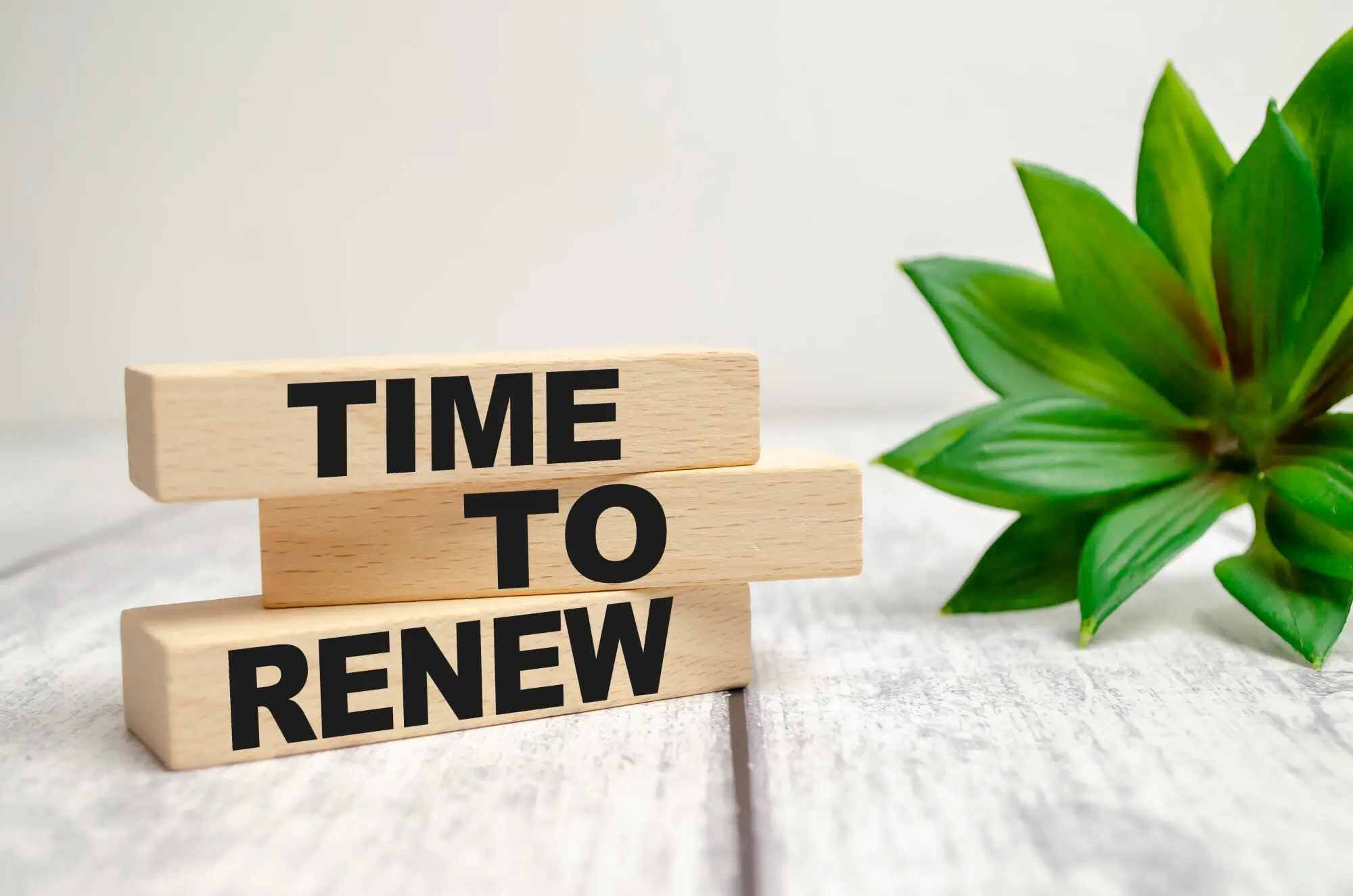 Lease Renewal Strategies: How to Retain Valuable Tenants in Charlotte